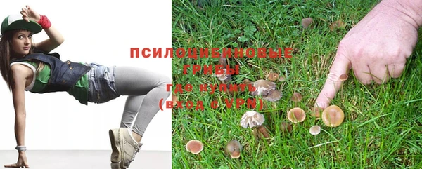 мет Алзамай