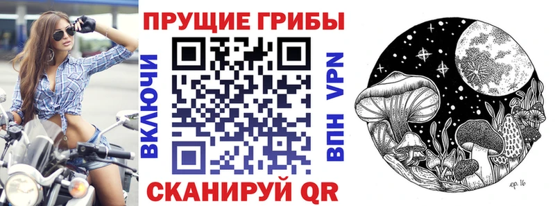 shop состав  гидра ONION  Лермонтов  цены наркотик  Галлюциногенные грибы Cubensis 